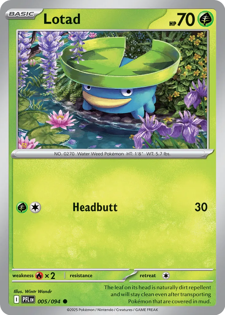shiny lotad pokemon card Lotad (Phantasmal Flames 005/094)
